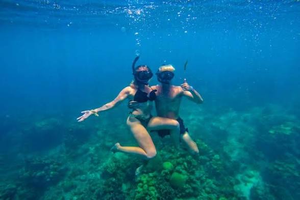 TOUR BARÚ, SNORKELING Y MAPACHES